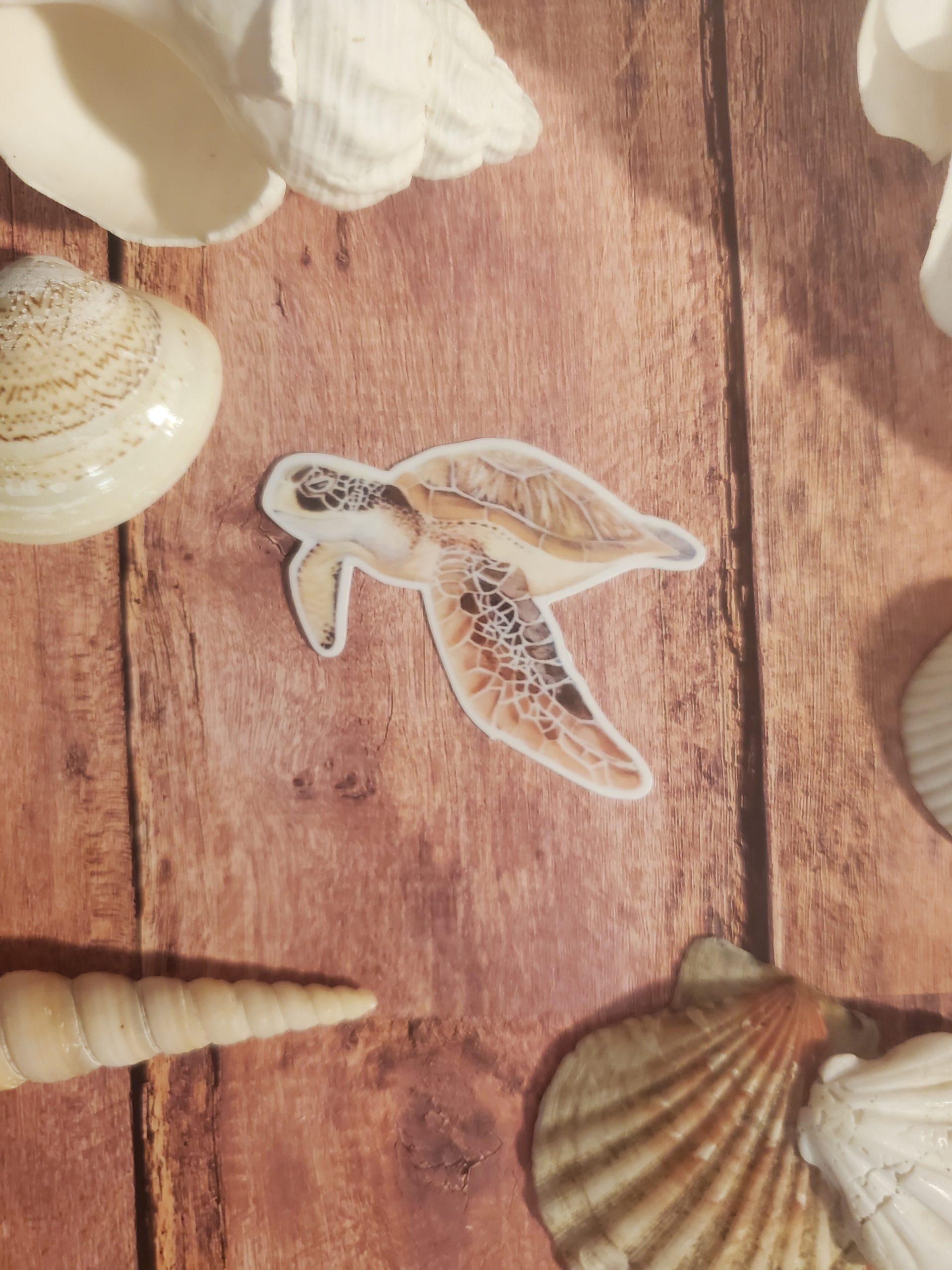 Grace Sea turtle - Sticker