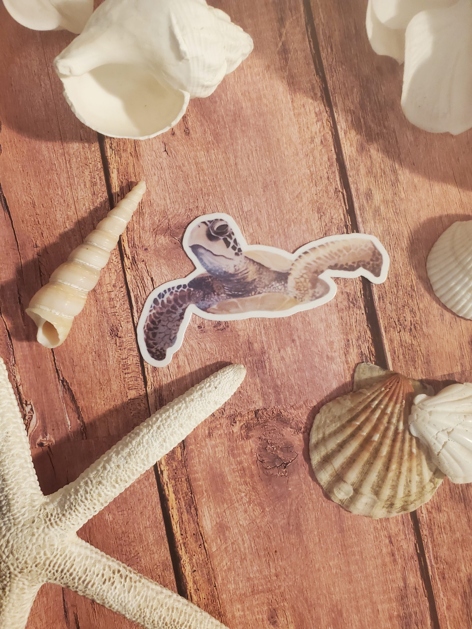 Captain Sea Turtle - Sticker