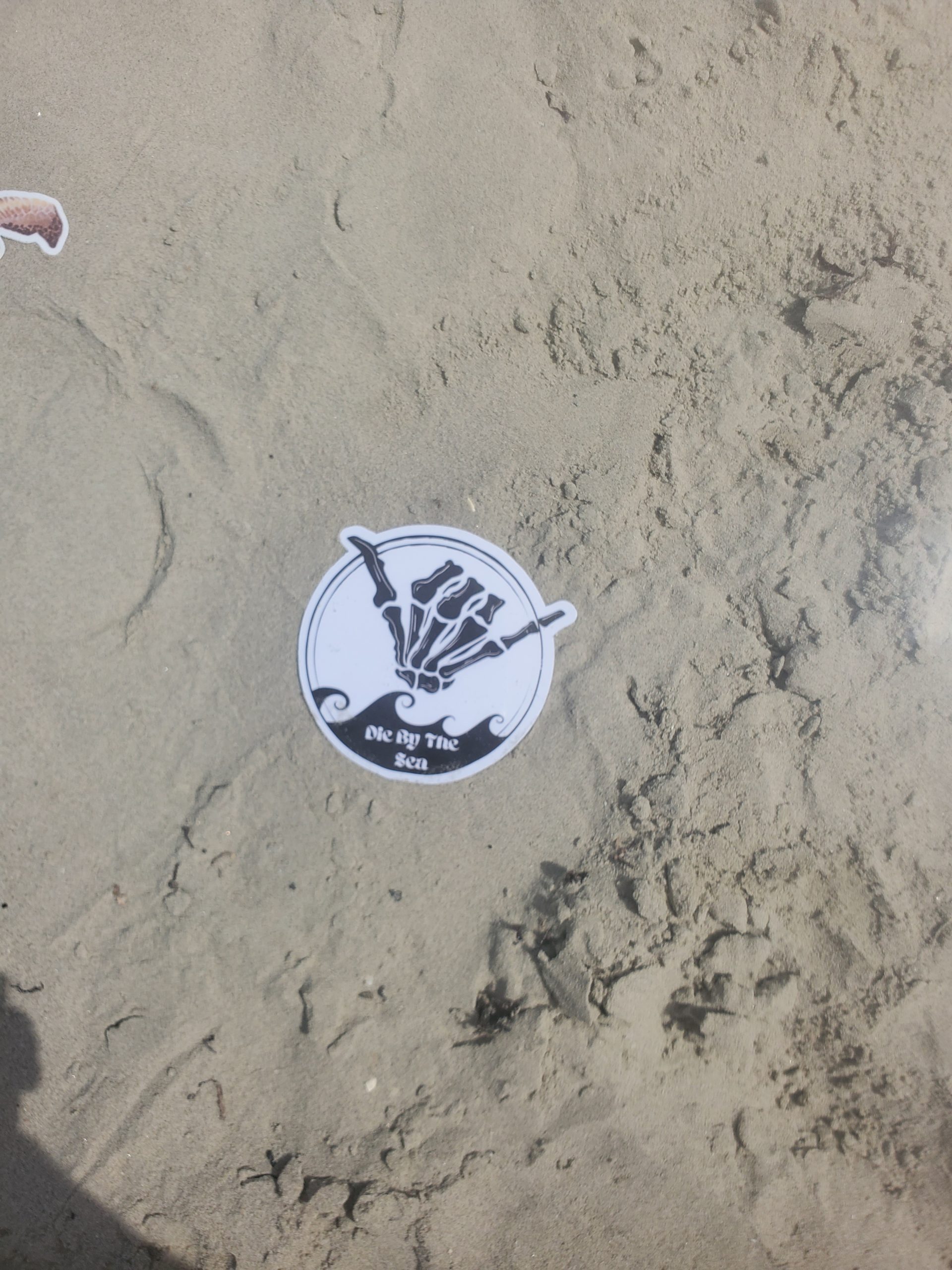 Die By The Sea- Sticker